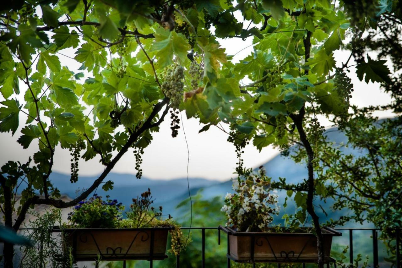 Apartment Lavistadeisogni Filippone Celano